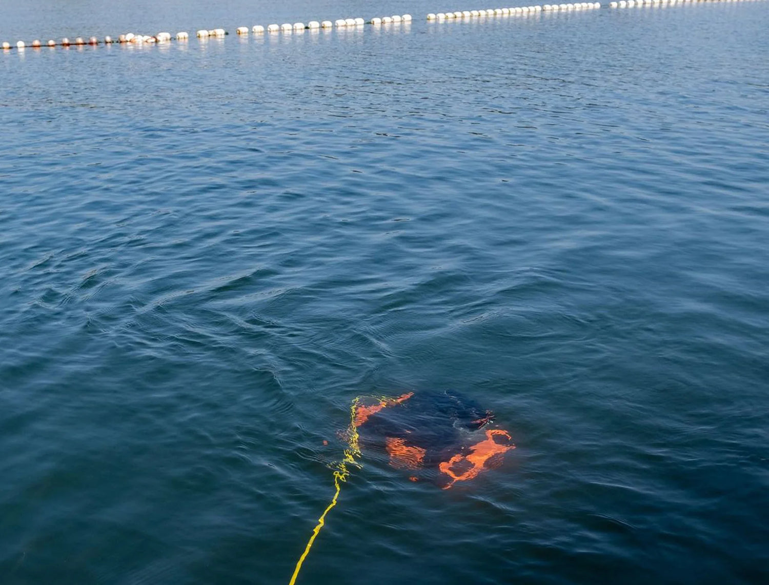 Chasing M2 Pro Industrial Grade Underwater Rov