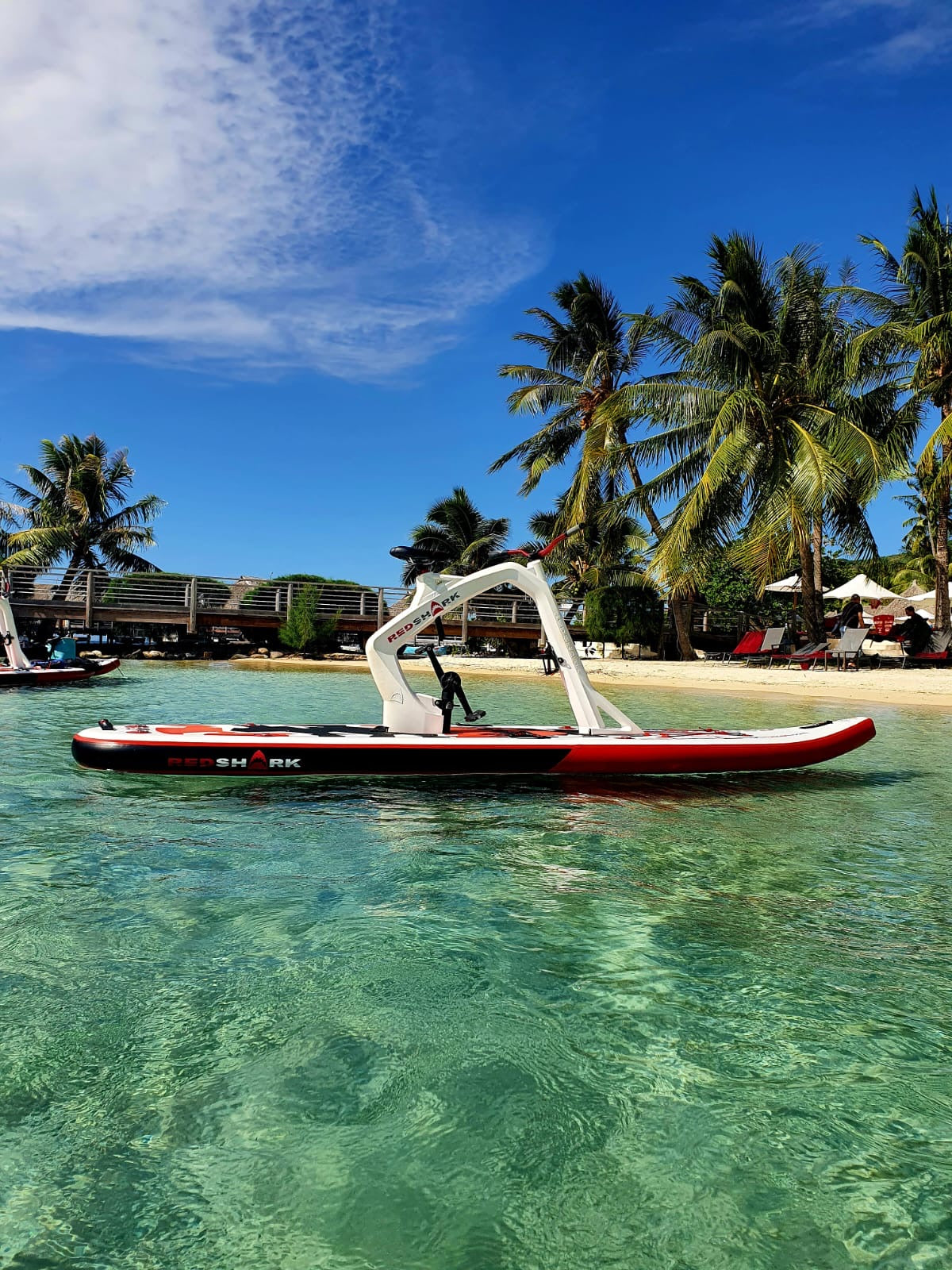 Enjoy Surf Bike -Red Shark